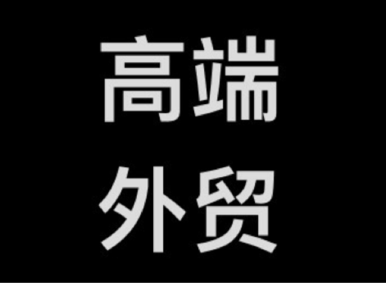 高端外贸331240223 店铺LOGO