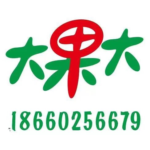 大果大青岛特产基地
