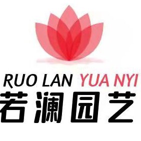 若澜园艺懒人花盆