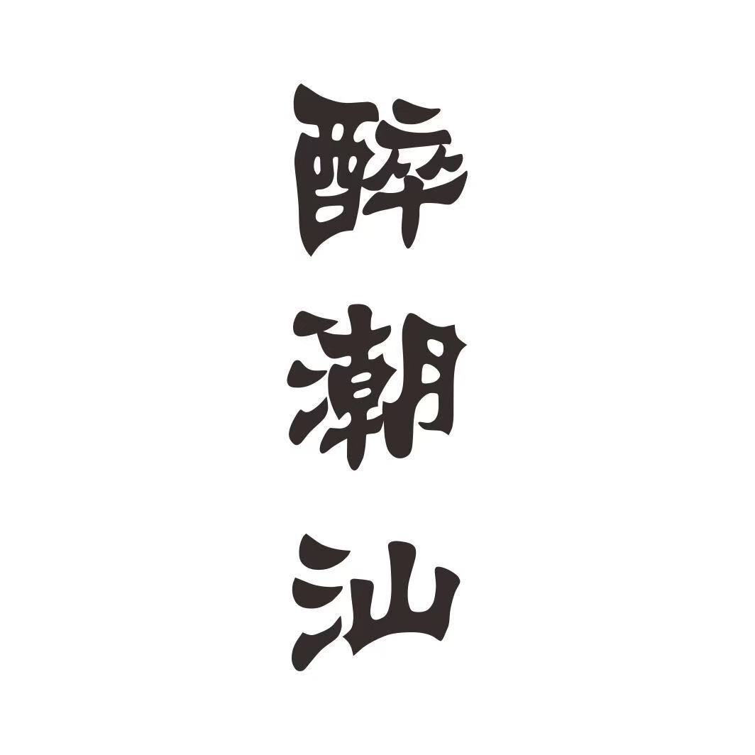 潮汕功夫茶具十六年老店 店铺LOGO