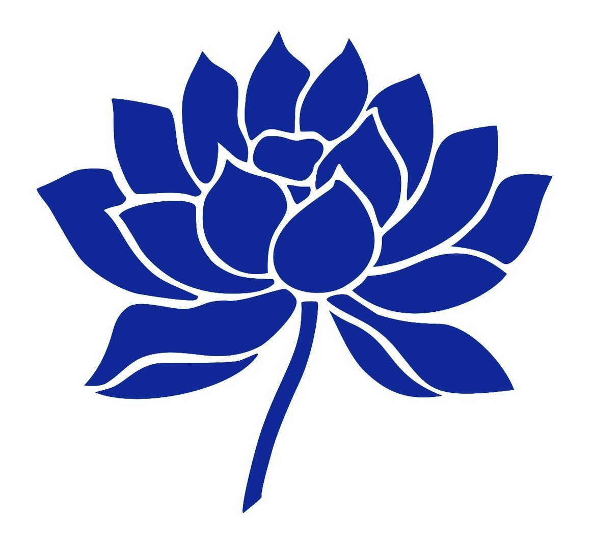 小卡随缘