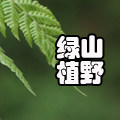 山野绿植基地直供