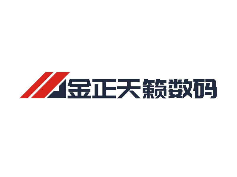 金正天籁数码