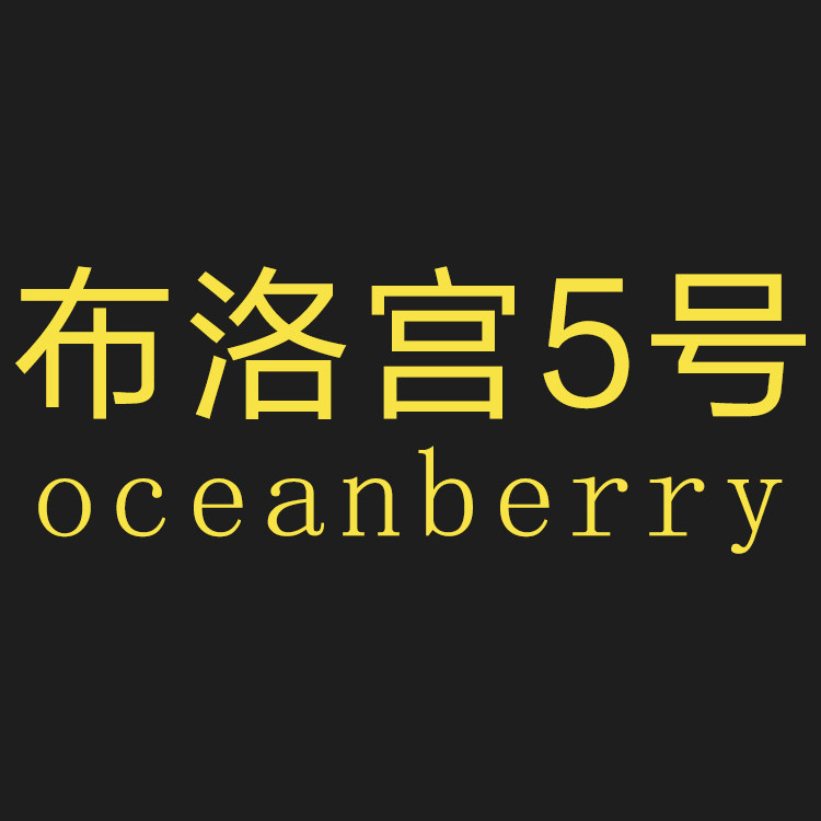 布洛宫5号