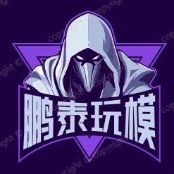 鹏泰贸易玩模