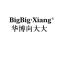 华博向大大旗行店