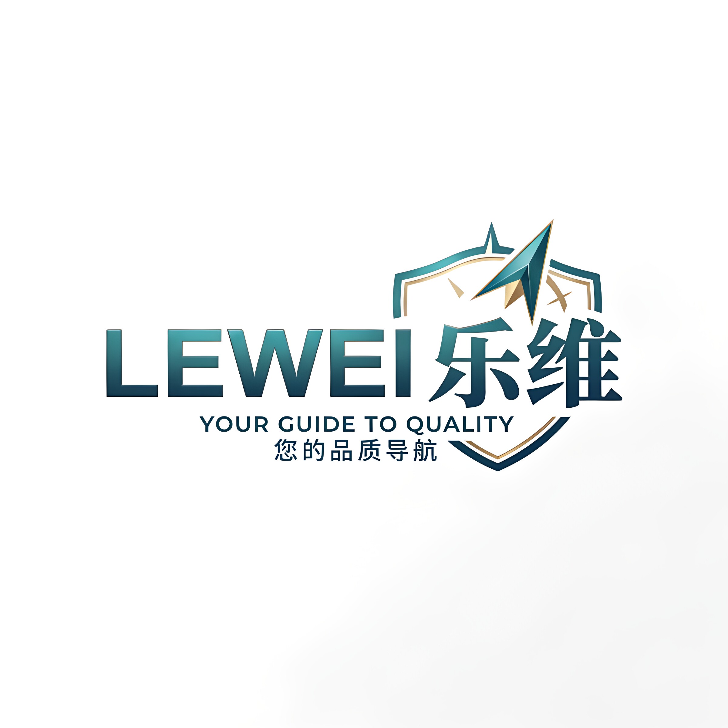 乐维医疗保健