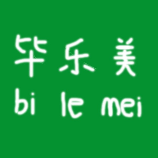 毕乐美数码