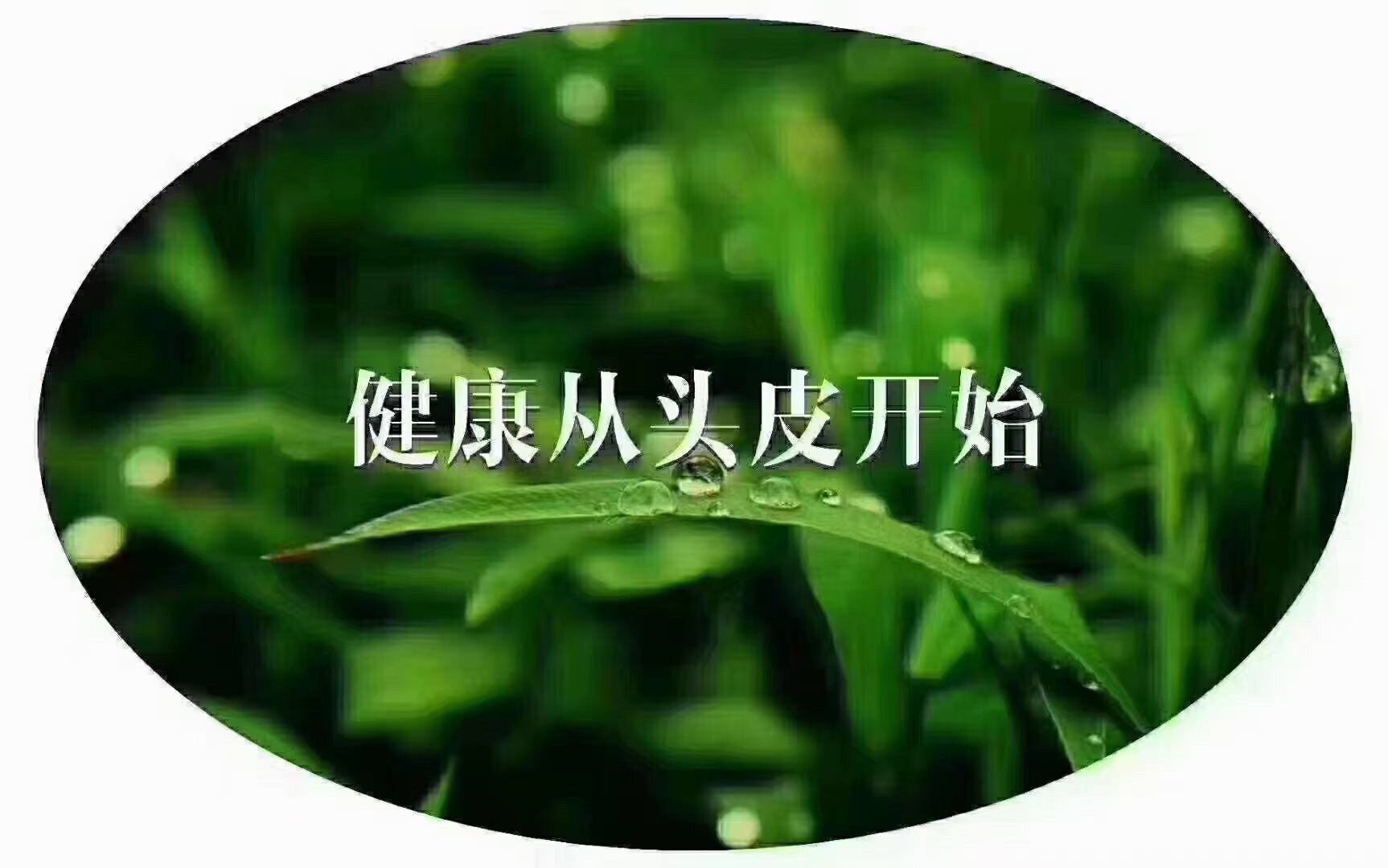 天然植物养发馆总店 店铺LOGO