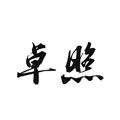 卓照潮鞋