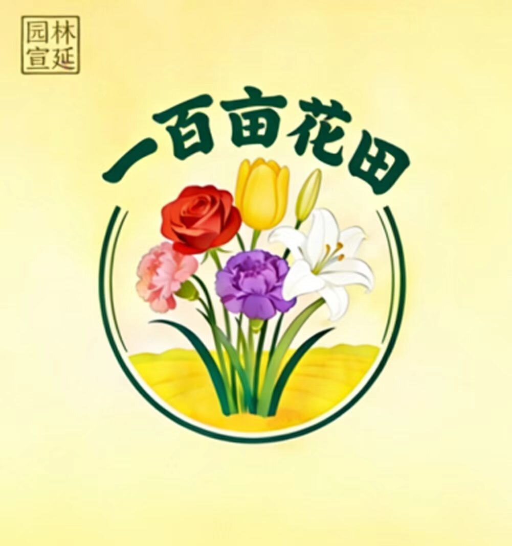 一百亩花田