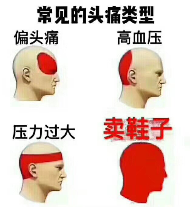 白菜运动馆