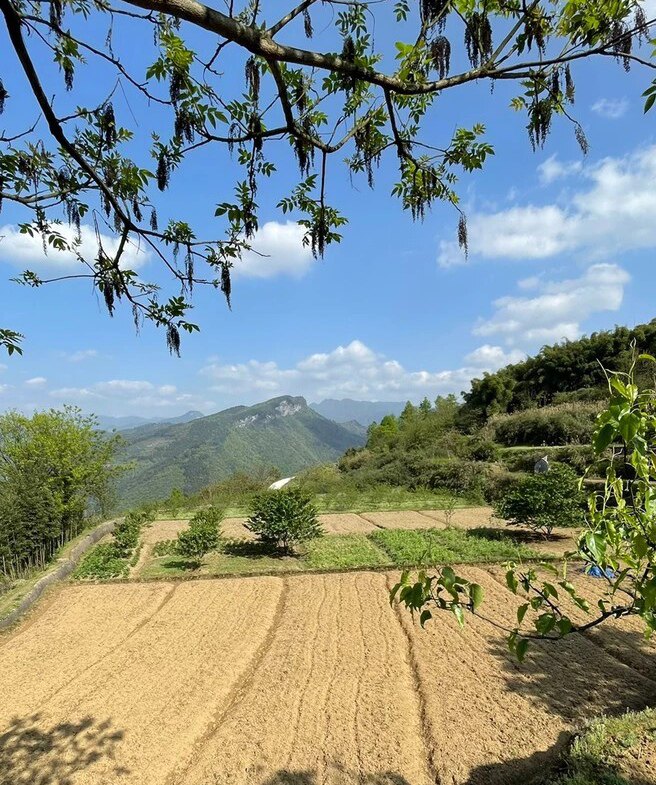深山农家特产