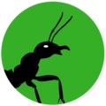 阿韬ANTS
