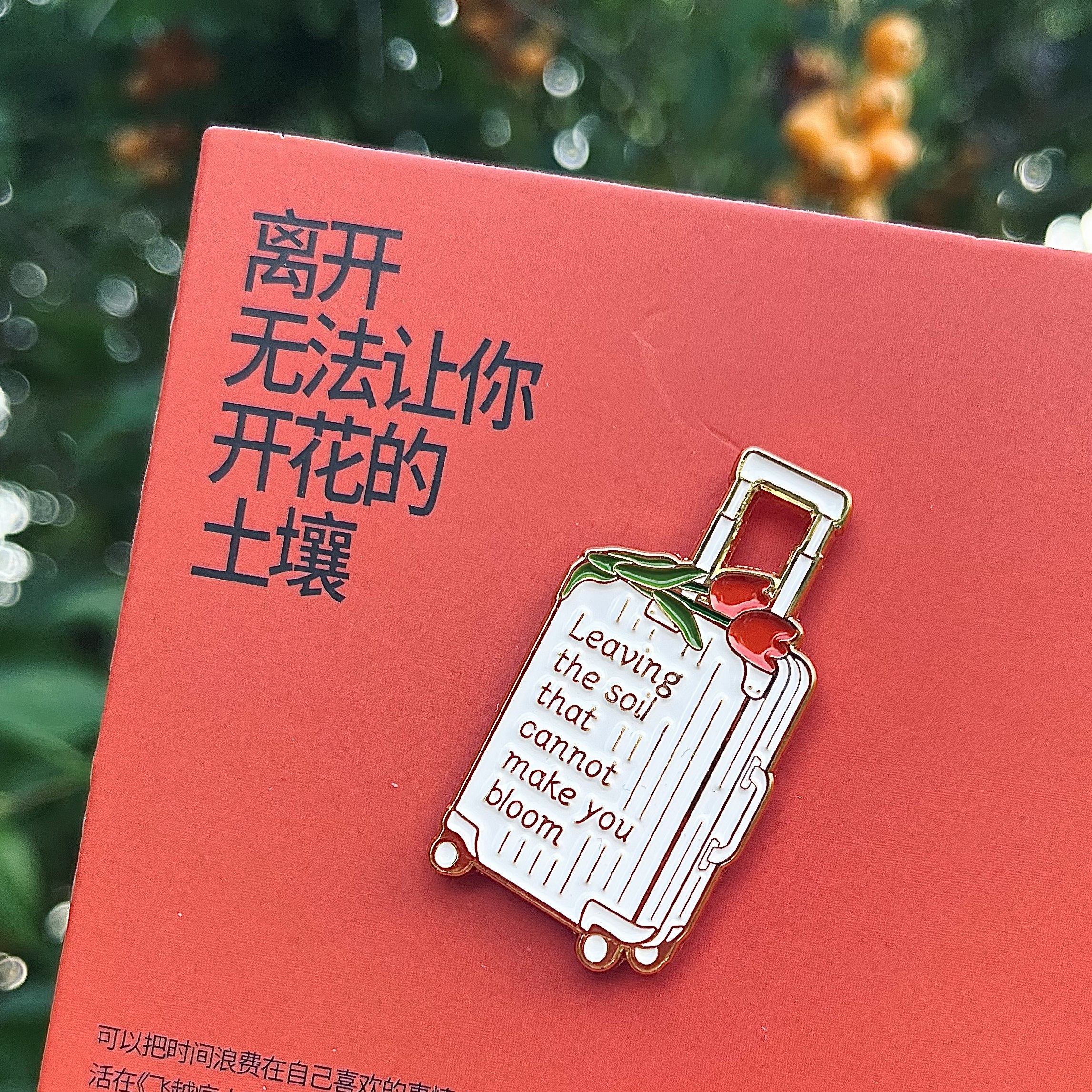 老陈同学