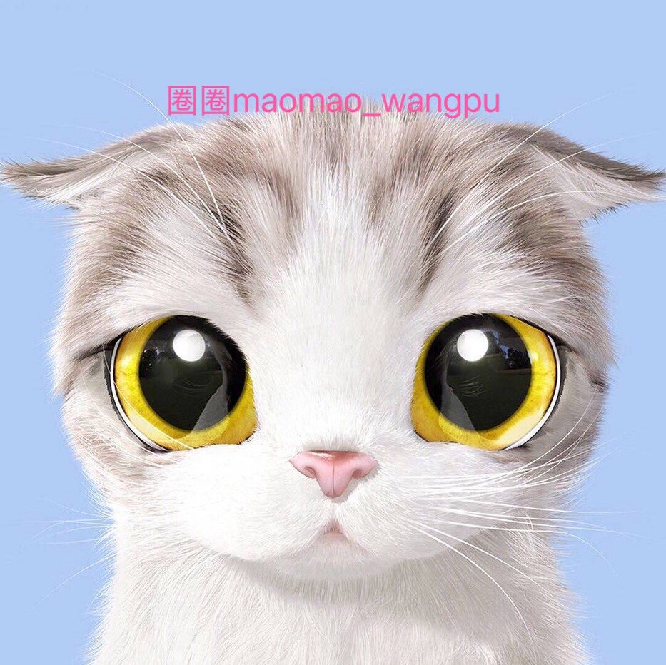 大猫猫的旺铺
