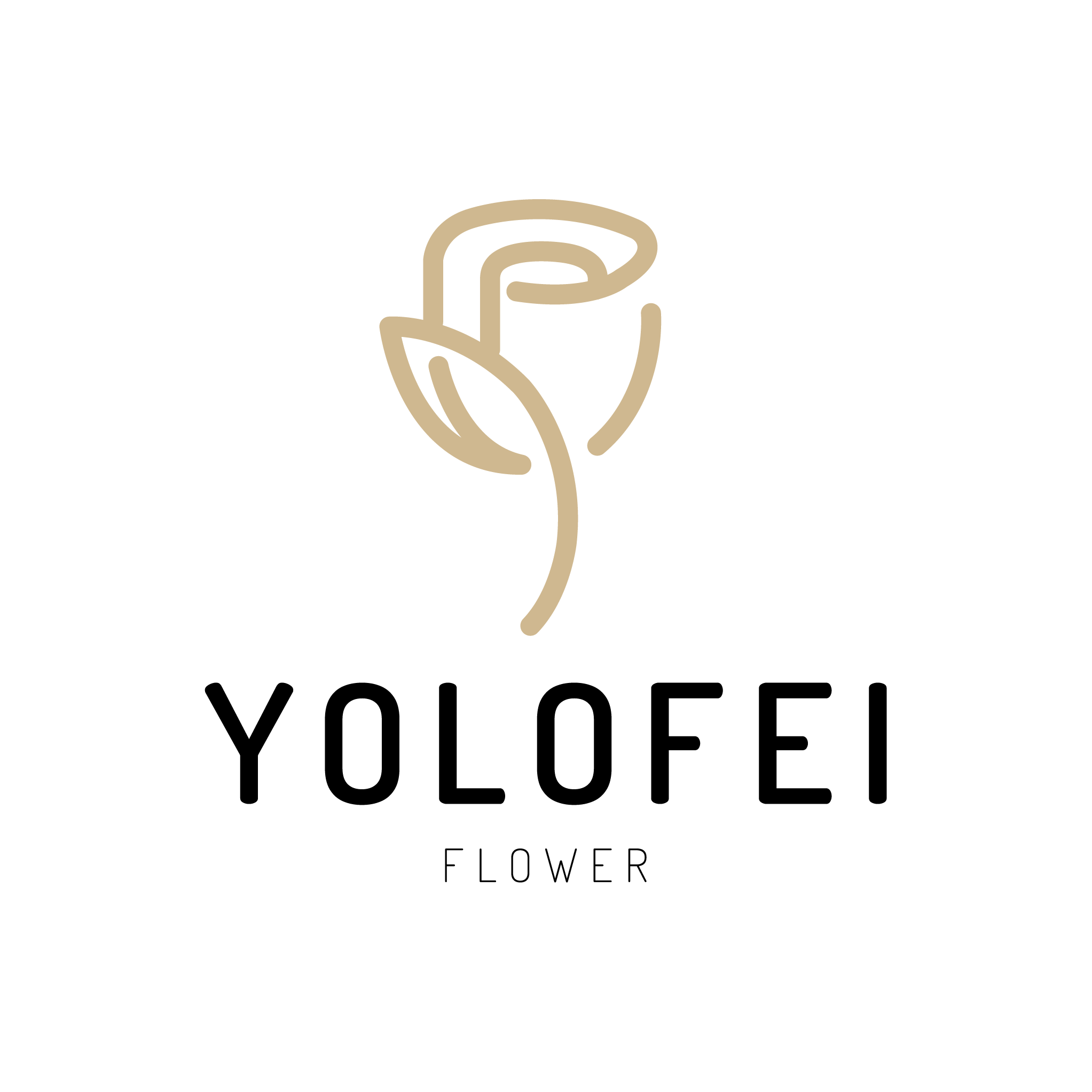 YOLO FEI 店铺LOGO