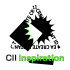 CII Inspiration 瞬差