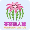 花苑仙人球