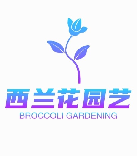 西兰花园艺