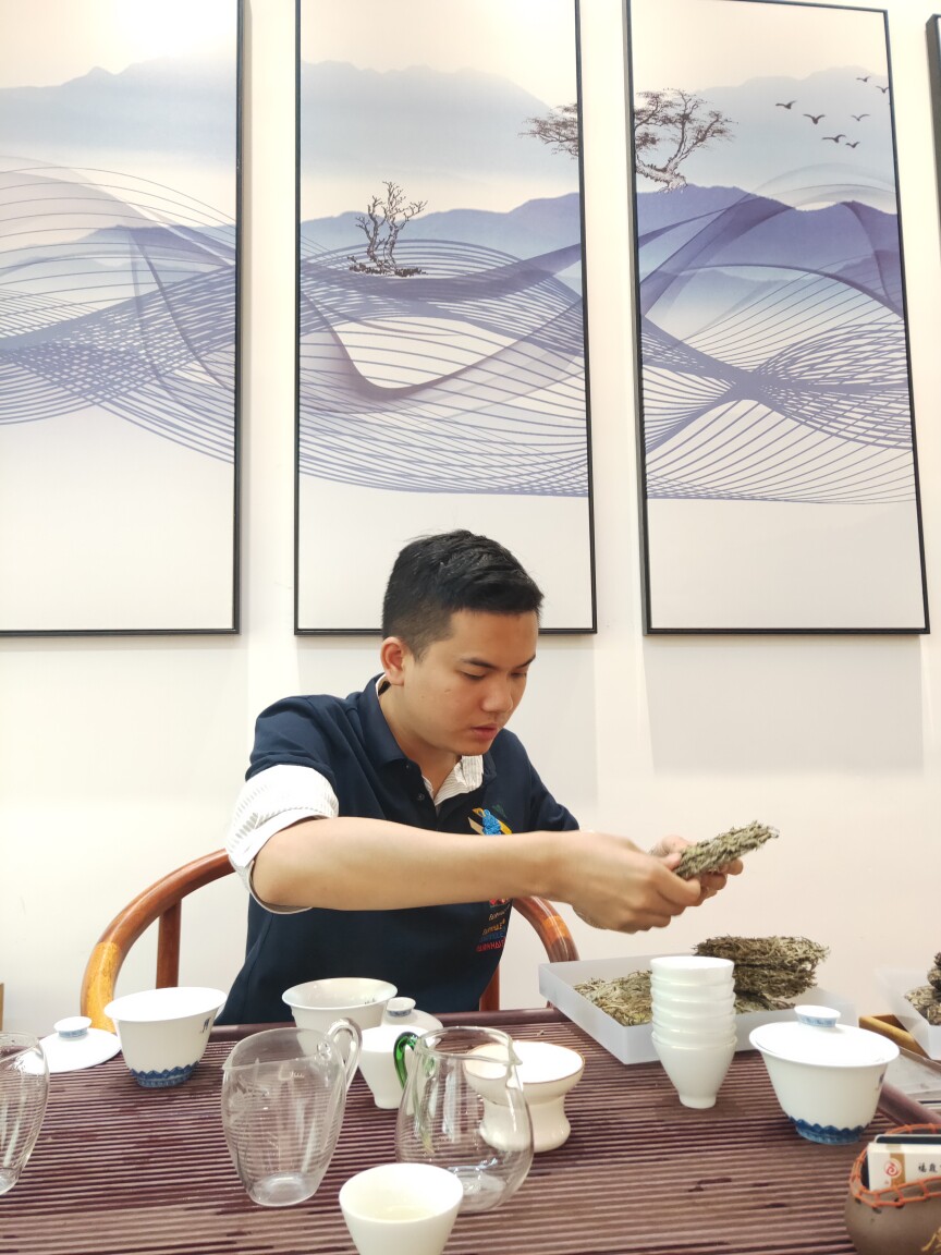 诸葛茗茶