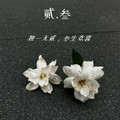 贰叁 Jewelry store 店铺LOGO