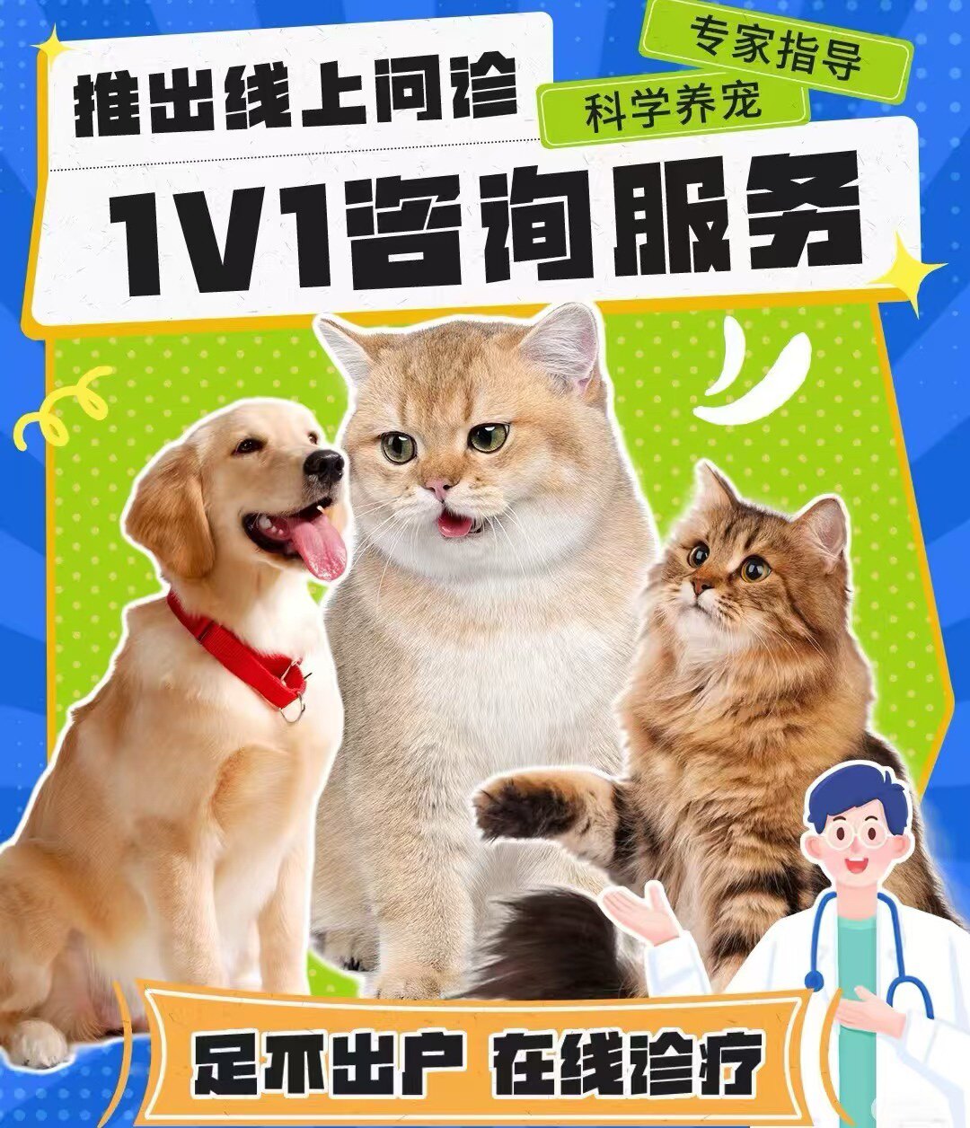 辉宝传腹中心
