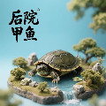 后院甲鱼