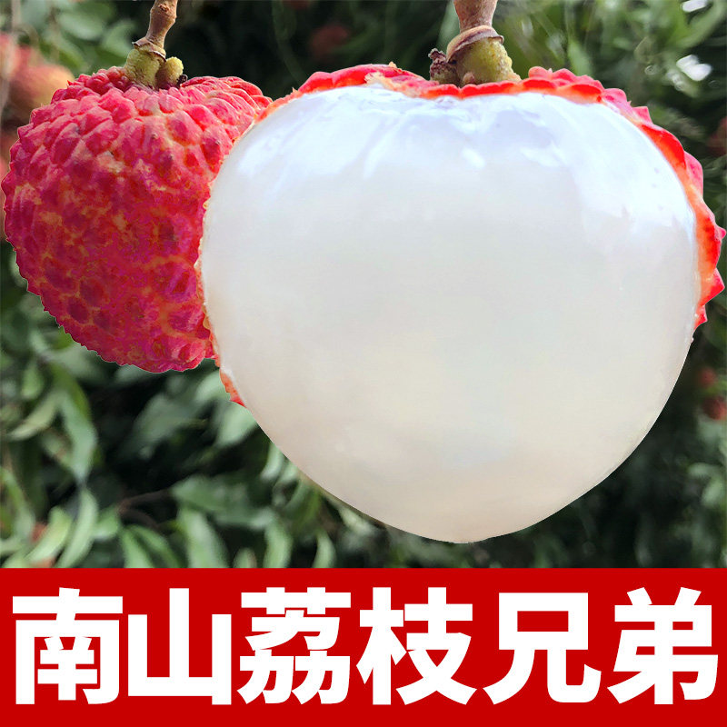 南山荔枝兄弟