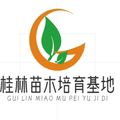 桂林苗木培育基地