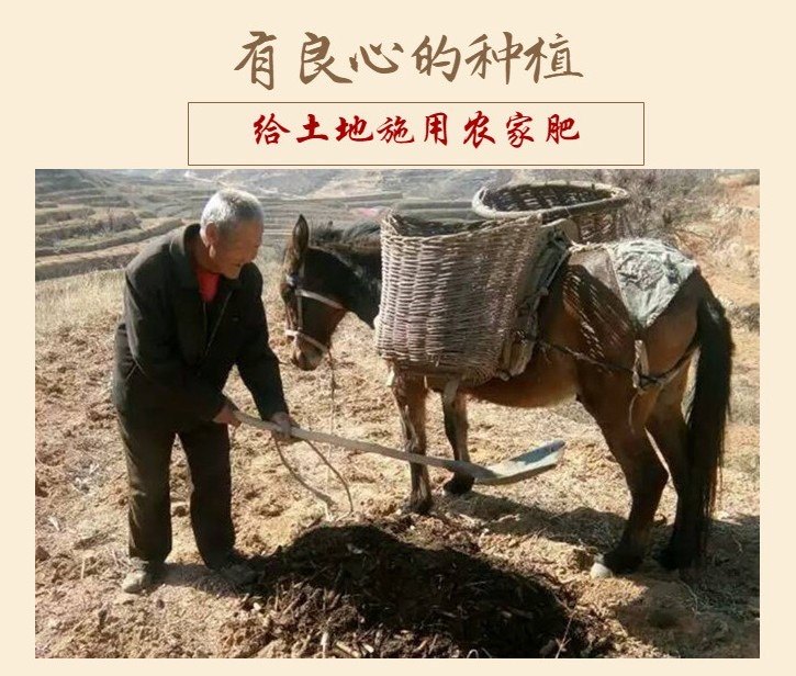 土特产小陈