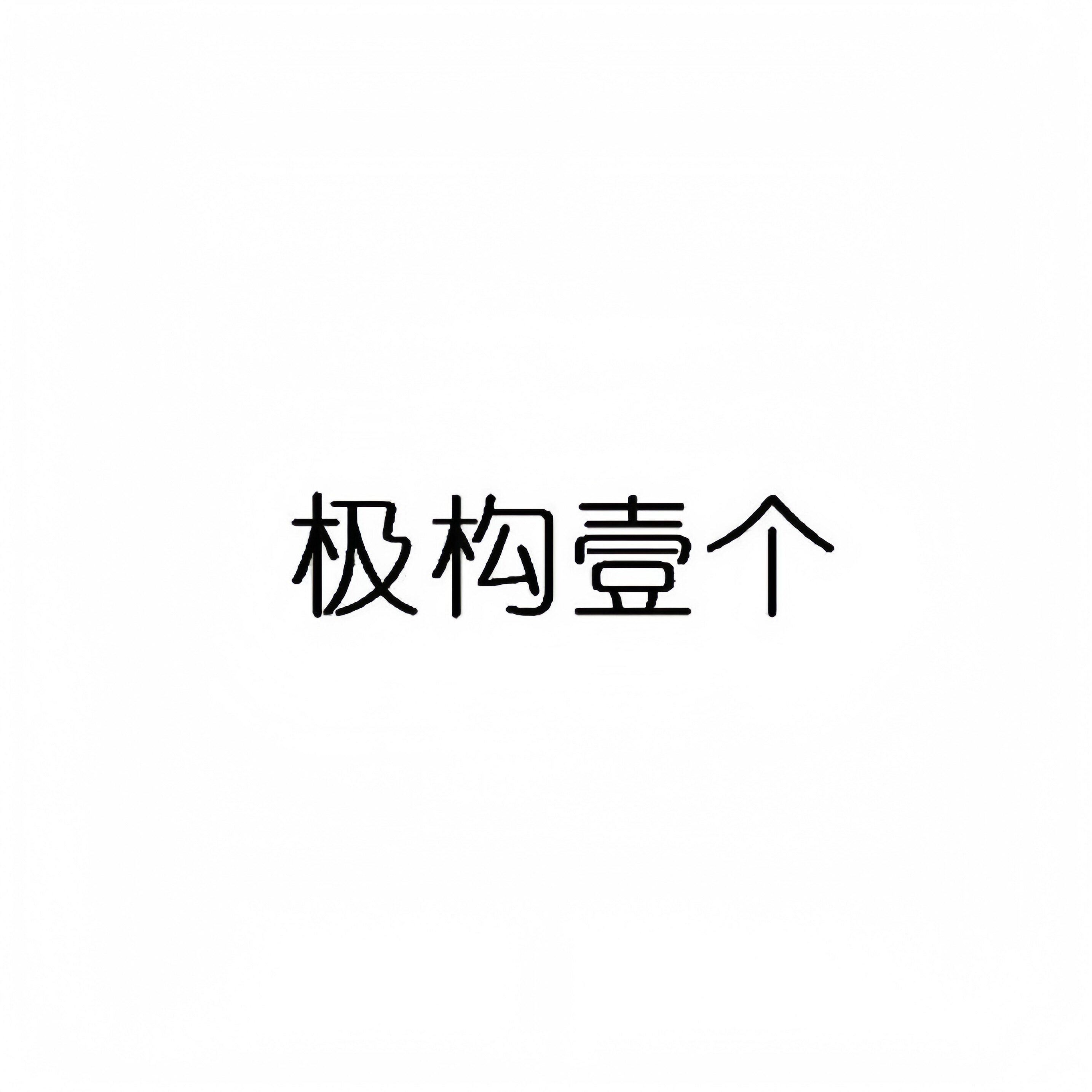 极构壹个 店铺LOGO