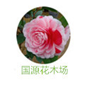 国源花木场