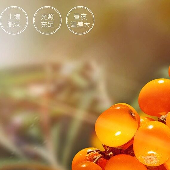 漠成优选 店铺LOGO