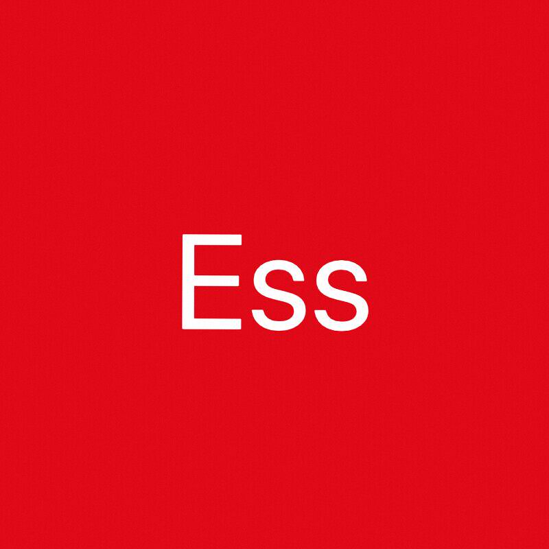 Ess定制女装店 店铺LOGO