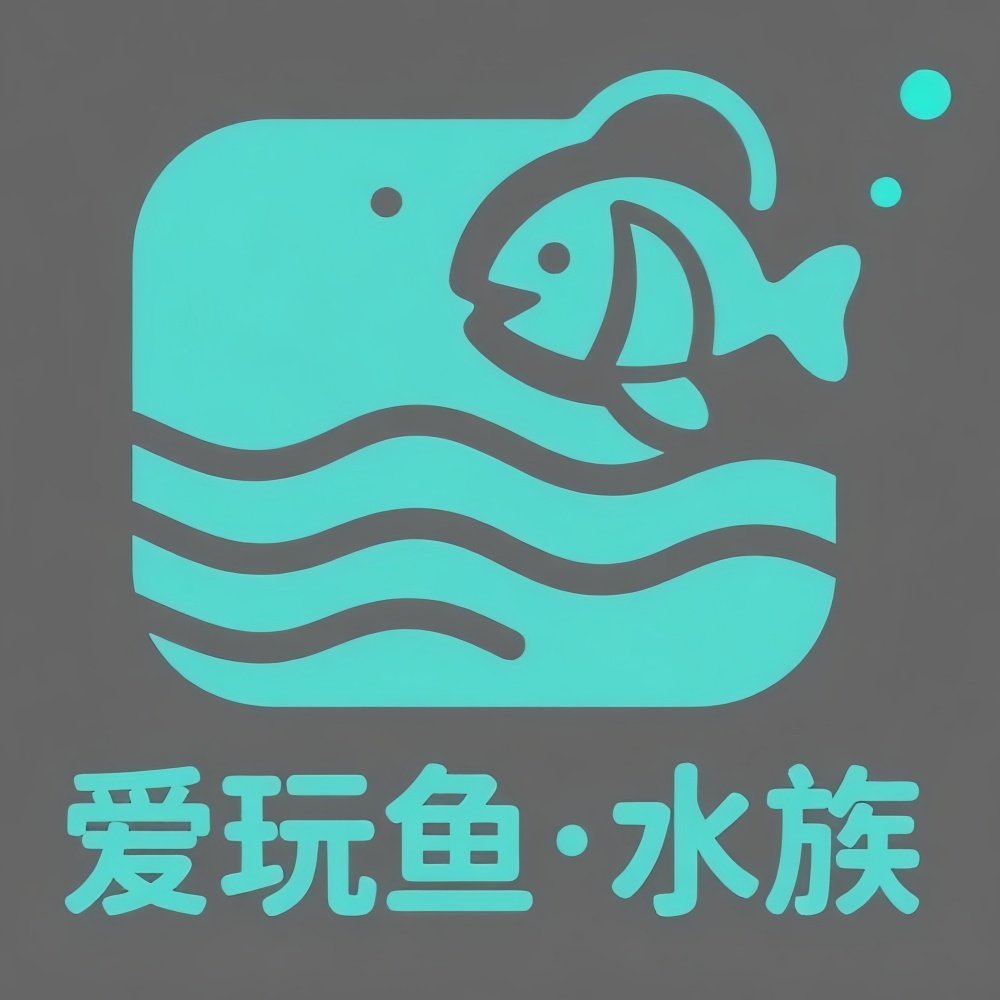 爱玩鱼水族