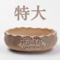 盆多多园艺