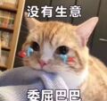 正欣食品专营店