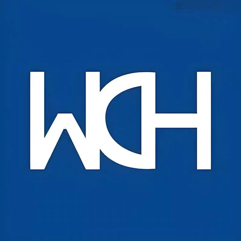 WCH沁恒微电子 店铺LOGO
