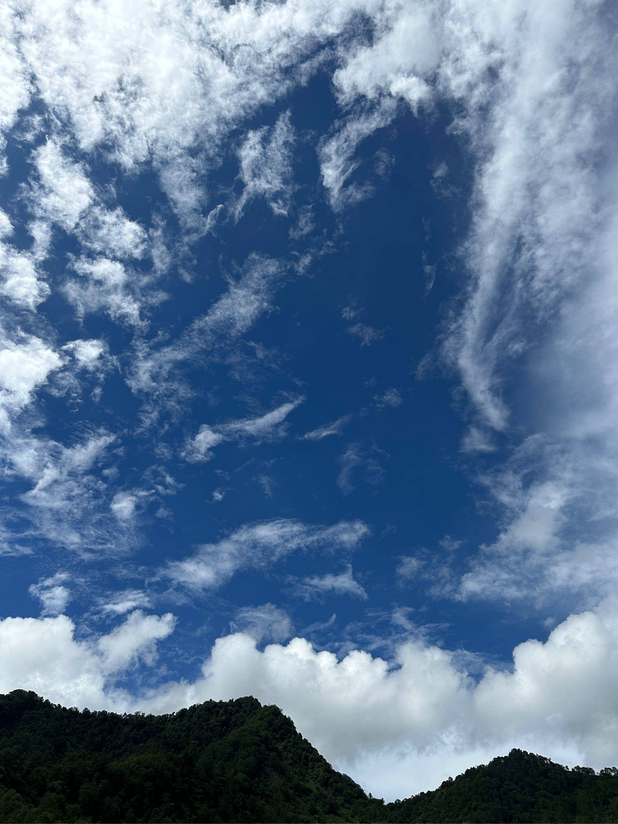 寻觅山野人家山货