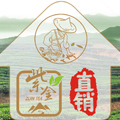 紫金蝉茶龙窝产区直销店