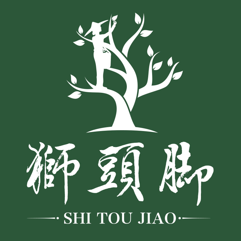 狮头脚 600年茶农世家