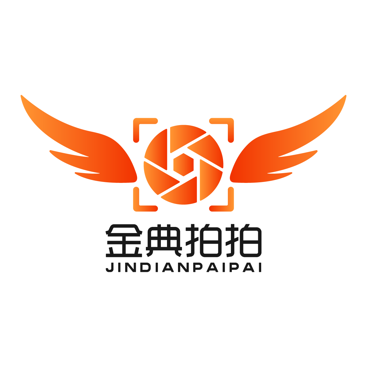 天空旅者 店铺LOGO
