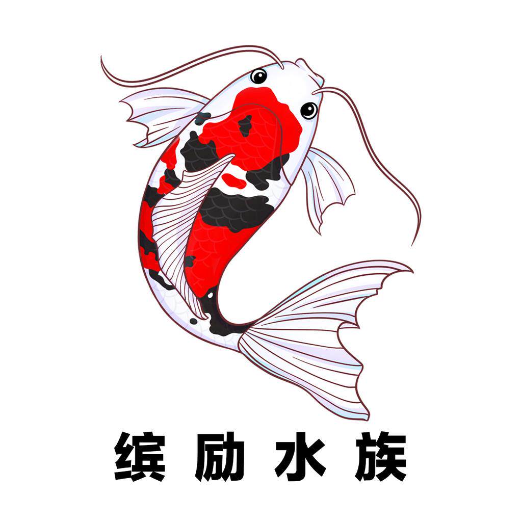 缤励水族