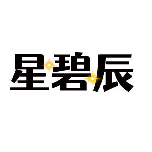 星碧辰DIY潮服定制