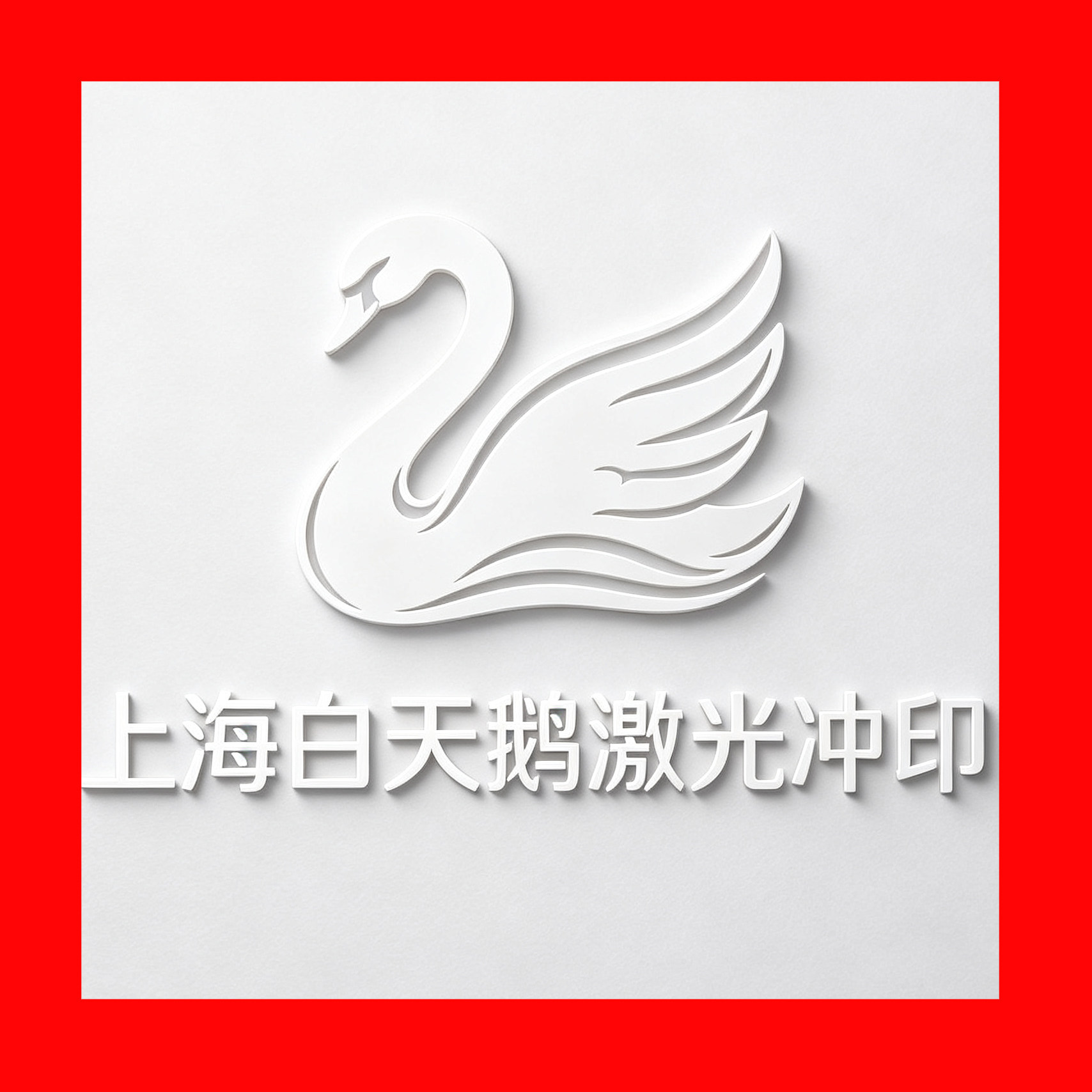 上海白天鹅激光冲印