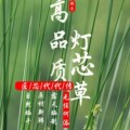 源生有机农场