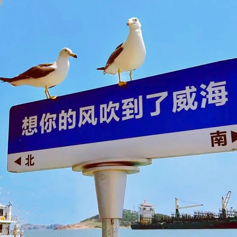 铭昂海藻 源头供应链