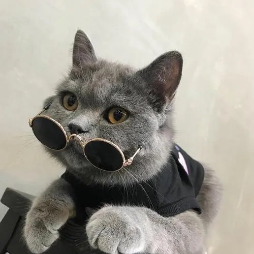 佛洛依德眼镜