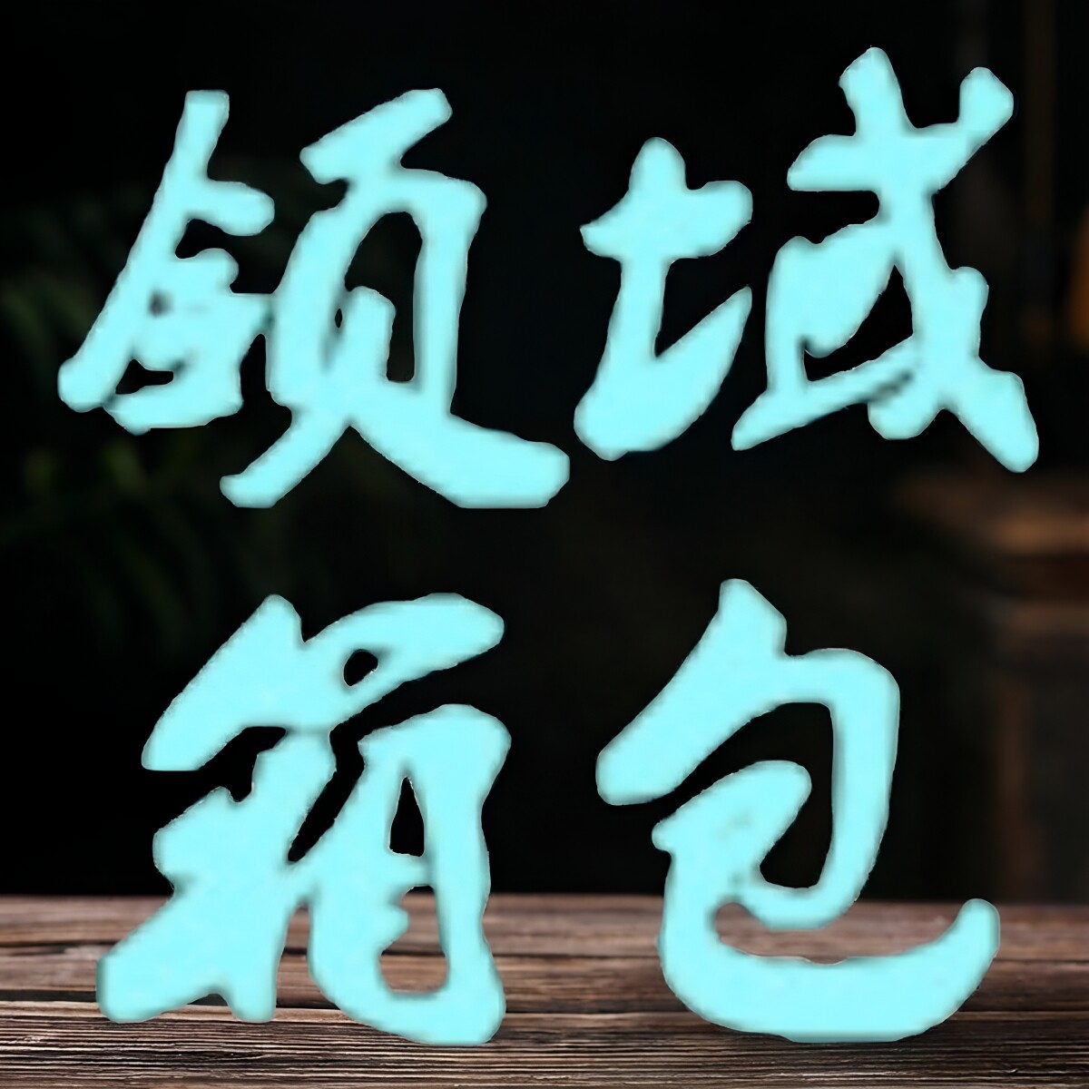 领域箱包